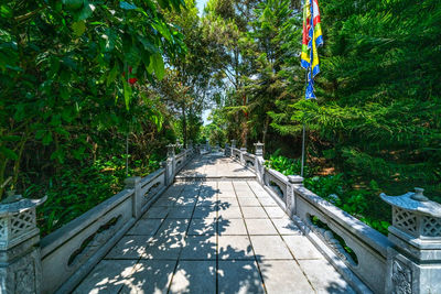 Footpath amidst trees in park