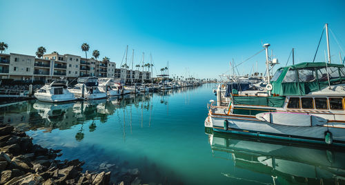 Sailboats in marina