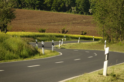 Winding country road amidst trees on field in sachsen