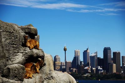 View of city buildings against sky