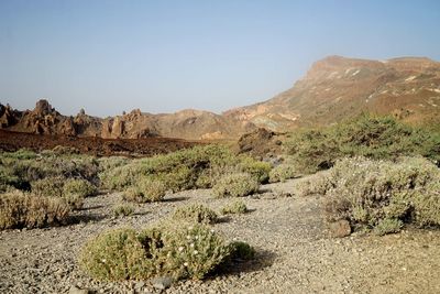 Trip to teide