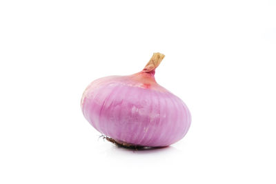 Close-up of garlic on white background