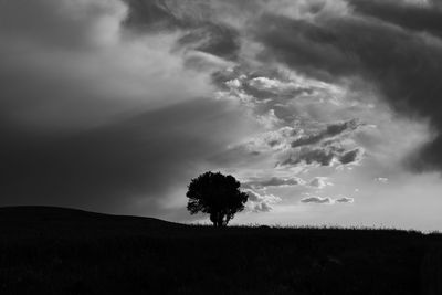 Silhouette tree on field against sky