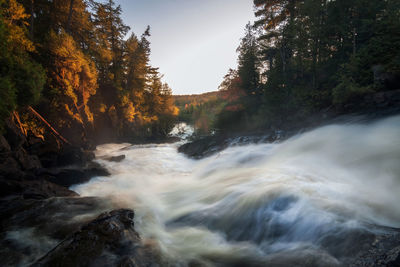 Stream flowing through rocks in forest against sky