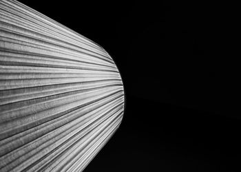 Close-up of leaf against black background
