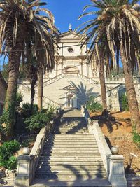 Low angle view of steps and palm trees against sky