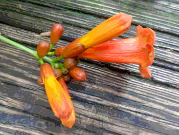 Close-up of wooden plank