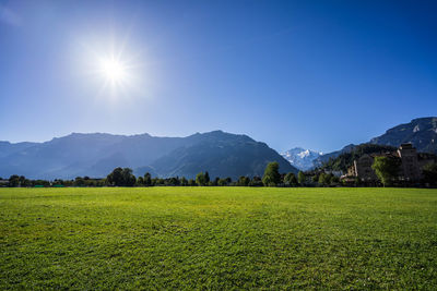 Scenic view of field against clear sky