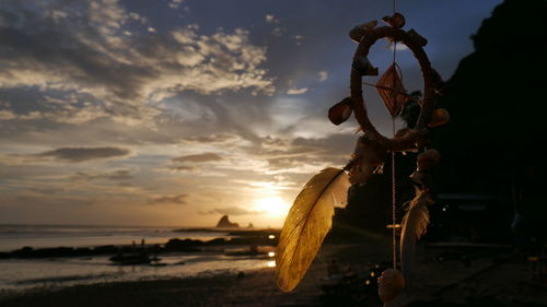 Close-up of silhouette beach against sky during sunset