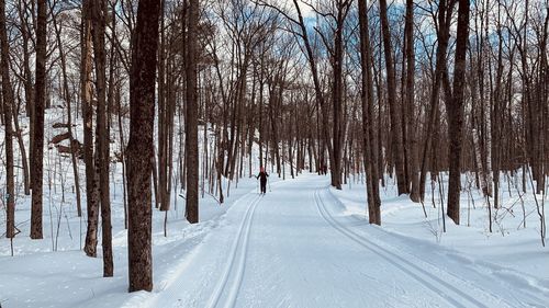 Spring winter day gatineau mountains 