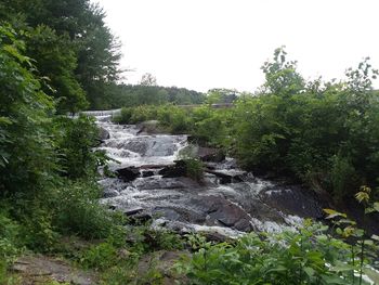 Scenic view of waterfall in forest against clear sky