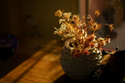 Backlited flowers in vase on the table in sunset time