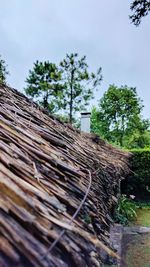 Low angle view of logs on tree against sky