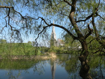 Reflection of trees in lake