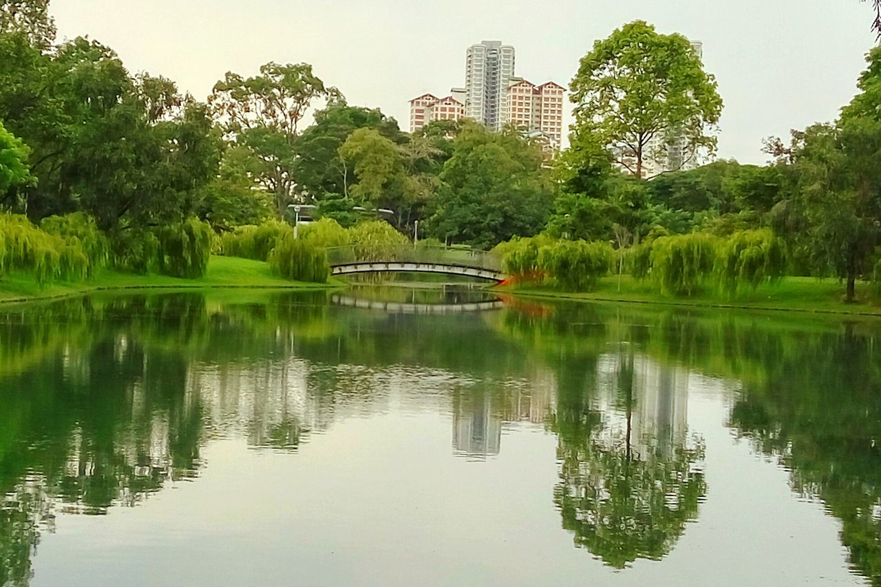 tree, water, reflection, waterfront, lake, green color, tranquility, growth, tranquil scene, building exterior, nature, built structure, architecture, beauty in nature, scenics, river, pond, clear sky, lush foliage, no people