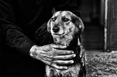 Midsection of person holding dog outdoors