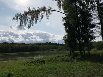 Scenic view of landscape against sky