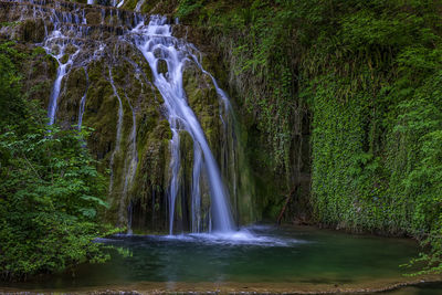 Scenic view of waterfall in forest