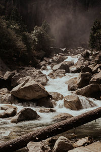 Stream flowing through rocks in forest