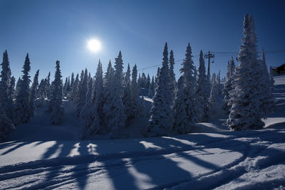 Sunny winter morning in the mountains of sheregesh on the ski track 