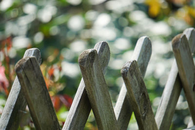 Close-up of wooden fence against plants