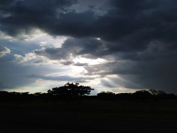 Silhouette trees on field against sky at sunset