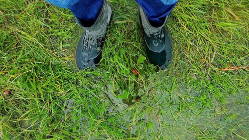 Low section of man standing on field