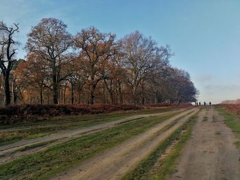 Dirt road amidst field against sky