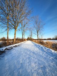 Bare trees on snow covered field against sky