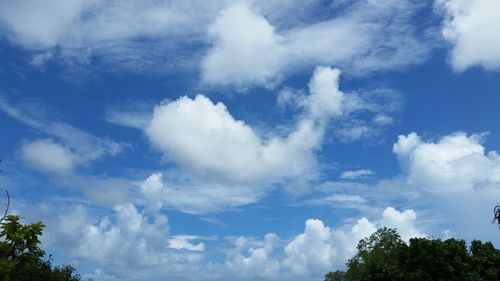 Low angle view of trees against cloudy sky