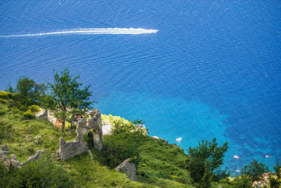 High angle view of trees by sea against blue sky