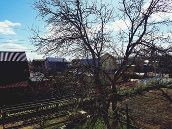 Bare trees and buildings against sky