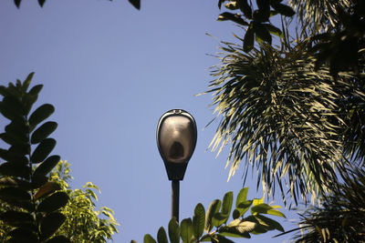 Low angle view of street light against sky