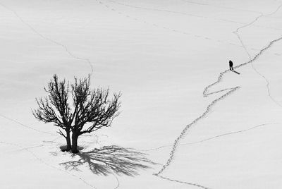 Man tree on landscape