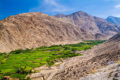 Scenic view of farm against sky