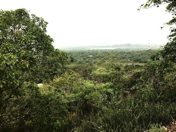 Scenic view of landscape against clear sky