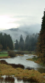 Scenic view of landscape against sky