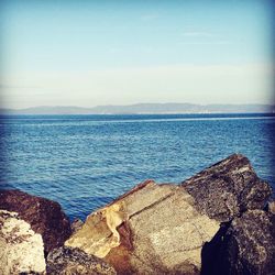 Scenic view of sea against blue sky