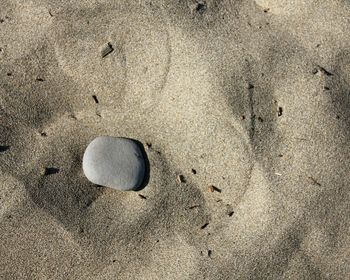 Close-up of footprints on sand