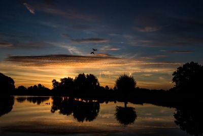 Silhouette birds flying over lake against sky during sunset