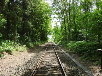 Railroad tracks amidst trees in forest