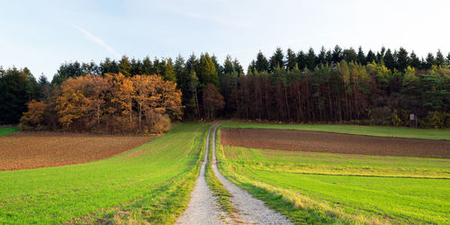 Dirt road amidst trees on field against sky during autumn