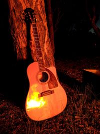 Close-up of guitar on tree trunk at night