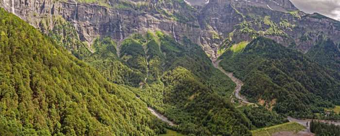 High angle view of tree on mountain