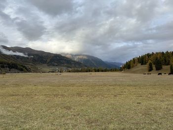 environment