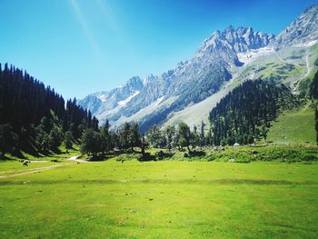 Scenic view of field and mountains against sky