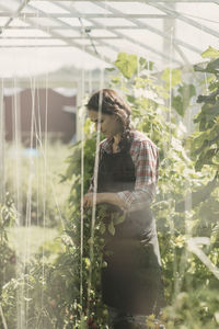 Gardener examining plant in greenhouse seen through glass window