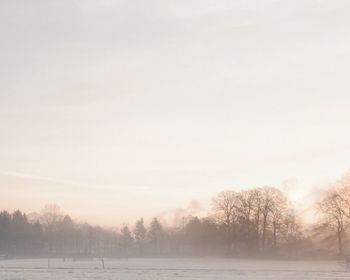 Bare trees on snow covered field