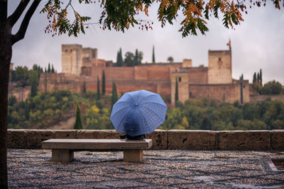 Rear view of person with umbrella sitting on bench in park