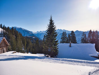 Snow covered pine trees and mountains against sky